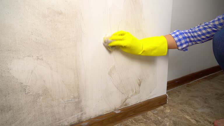 Best Asbestos and Lead Testing During Mold Inspection  in Oak Trail Shores, TX